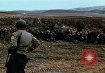 Immagine di Soldati tedeschi e italiani catturati Tunisia Africa del Nord, 1942, secondo 36 filmato di repertorio 65675029007