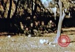 Immagine di Soldati tedeschi e italiani catturati Tunisia Africa del Nord, 1942, secondo 47 filmato di repertorio 65675029007