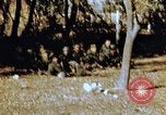Immagine di Soldati tedeschi e italiani catturati Tunisia Africa del Nord, 1942, secondo 48 filmato di repertorio 65675029007