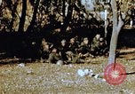 Immagine di Soldati tedeschi e italiani catturati Tunisia Africa del Nord, 1942, secondo 49 filmato di repertorio 65675029007