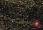 Immagine di Soldati tedeschi e italiani catturati Tunisia Africa del Nord, 1942, secondo 54 filmato di repertorio 65675029007