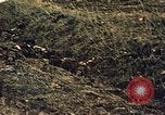Immagine di Soldati tedeschi e italiani catturati Tunisia Africa del Nord, 1942, secondo 58 filmato di repertorio 65675029007