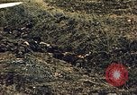 Immagine di Soldati tedeschi e italiani catturati Tunisia Africa del Nord, 1942, secondo 59 filmato di repertorio 65675029007