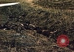 Immagine di Soldati tedeschi e italiani catturati Tunisia Africa del Nord, 1942, secondo 60 filmato di repertorio 65675029007