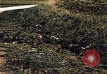Immagine di Soldati tedeschi e italiani catturati Tunisia Africa del Nord, 1942, secondo 61 filmato di repertorio 65675029007