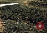 Immagine di Soldati tedeschi e italiani catturati Tunisia Africa del Nord, 1942, secondo 62 filmato di repertorio 65675029007