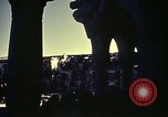 Image of Port of Tunis Tunisia North Africa, 1943, second 24 stock footage video 65675029010