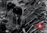 Image of London Blitz in World War 2 London England United Kingdom, 1941, second 45 stock footage video 65675029020