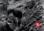 Image of London Blitz in World War 2 London England United Kingdom, 1941, second 46 stock footage video 65675029020