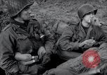 Image of US 9th Army Linnich Germany, 1944, second 60 stock footage video 65675029021