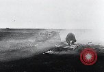 Image of German Army Russia, 1941, second 24 stock footage video 65675029039