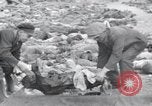 Standbild Leichen von Gefangenen Nordhausen Deutschland, 1945, aus Sekunde 24 historischem Filmmaterial Videoclip 65675029042