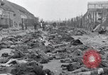 Standbild Leichen von Gefangenen Nordhausen Deutschland, 1945, aus Sekunde 30 historischem Filmmaterial Videoclip 65675029042