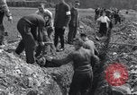 Standbild Exhumierungen von Leichen Arnstadt Deutschland, 1945, aus Sekunde 15 historischem Filmmaterial Videoclip 65675029048