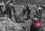 Standbild Exhumierungen von Leichen Arnstadt Deutschland, 1945, aus Sekunde 21 historischem Filmmaterial Videoclip 65675029048