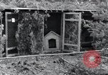 Standbild Exhumierungen von Leichen Arnstadt Deutschland, 1945, aus Sekunde 48 historischem Filmmaterial Videoclip 65675029048
