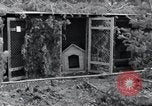 Standbild Exhumierungen von Leichen Arnstadt Deutschland, 1945, aus Sekunde 49 historischem Filmmaterial Videoclip 65675029048