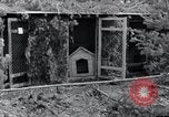 Standbild Exhumierungen von Leichen Arnstadt Deutschland, 1945, aus Sekunde 51 historischem Filmmaterial Videoclip 65675029048