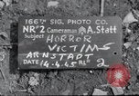 Immagine di Corpi esumato Arnstadt Germania, 1945, secondo 1 filmato di repertorio 65675029049