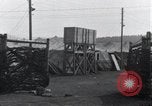 Immagine di Corpi esumato Arnstadt Germania, 1945, secondo 8 filmato di repertorio 65675029049
