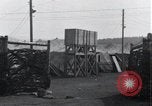 Immagine di Corpi esumato Arnstadt Germania, 1945, secondo 9 filmato di repertorio 65675029049
