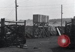 Immagine di Corpi esumato Arnstadt Germania, 1945, secondo 12 filmato di repertorio 65675029049