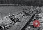 Immagine di Corpi esumato Arnstadt Germania, 1945, secondo 35 filmato di repertorio 65675029049
