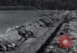 Immagine di Corpi esumato Arnstadt Germania, 1945, secondo 39 filmato di repertorio 65675029049