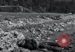 Immagine di Corpi esumato Arnstadt Germania, 1945, secondo 60 filmato di repertorio 65675029049