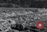 Immagine di Corpi esumato Arnstadt Germania, 1945, secondo 62 filmato di repertorio 65675029049