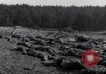 Standbild Leichen exhumiert Arnstadt Deutschland, 1945, aus Sekunde 17 historischem Filmmaterial Videoclip 65675029050