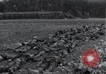 Standbild Leichen exhumiert Arnstadt Deutschland, 1945, aus Sekunde 34 historischem Filmmaterial Videoclip 65675029050