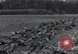 Standbild Leichen exhumiert Arnstadt Deutschland, 1945, aus Sekunde 37 historischem Filmmaterial Videoclip 65675029050