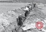 Image fosse Arnstadt Allemagne, 1945, de la seconde 6 séquences d'archives historiques vidéo 65675029051