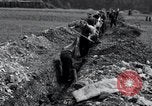Image fosse Arnstadt Allemagne, 1945, de la seconde 7 séquences d'archives historiques vidéo 65675029051