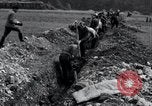 Image fosse Arnstadt Allemagne, 1945, de la seconde 9 séquences d'archives historiques vidéo 65675029051