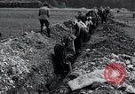 Image fosse Arnstadt Allemagne, 1945, de la seconde 12 séquences d'archives historiques vidéo 65675029051