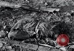 Image camp de concentration victimes Nordhausen Allemagne, 1945, de la seconde 26 séquences d'archives historiques vidéo 65675029052