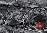 Image camp de concentration victimes Nordhausen Allemagne, 1945, de la seconde 27 séquences d'archives historiques vidéo 65675029052