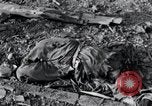 Image camp de concentration victimes Nordhausen Allemagne, 1945, de la seconde 28 séquences d'archives historiques vidéo 65675029052