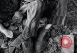 Image prisonniers émaciés Nordhausen Allemagne, 1945, de la seconde 21 séquences d'archives historiques vidéo 65675029053