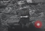 Image prisonniers émaciés Nordhausen Allemagne, 1945, de la seconde 47 séquences d'archives historiques vidéo 65675029053