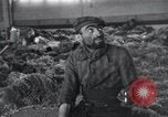Image prisonniers émaciés Nordhausen Allemagne, 1945, de la seconde 52 séquences d'archives historiques vidéo 65675029053