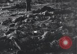 Image prisonniers émaciés Nordhausen Allemagne, 1945, de la seconde 61 séquences d'archives historiques vidéo 65675029053