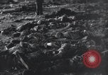Image prisonniers émaciés Nordhausen Allemagne, 1945, de la seconde 62 séquences d'archives historiques vidéo 65675029053