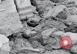 Image of concentration camp victims Nordhausen Germany, 1945, second 36 stock footage video 65675029057