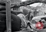 Image of Nordhausen conentration camp victims Nordhausen Germany, 1945, second 32 stock footage video 65675029058