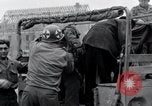 Image of Nordhausen conentration camp victims Nordhausen Germany, 1945, second 36 stock footage video 65675029058