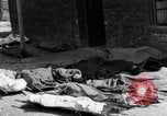 Image of dead Nazi slave laborers Nordhausen Germany, 1945, second 58 stock footage video 65675029059
