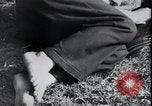 Image of life before and after World War 2 Berlin Germany, 1945, second 10 stock footage video 65675029068